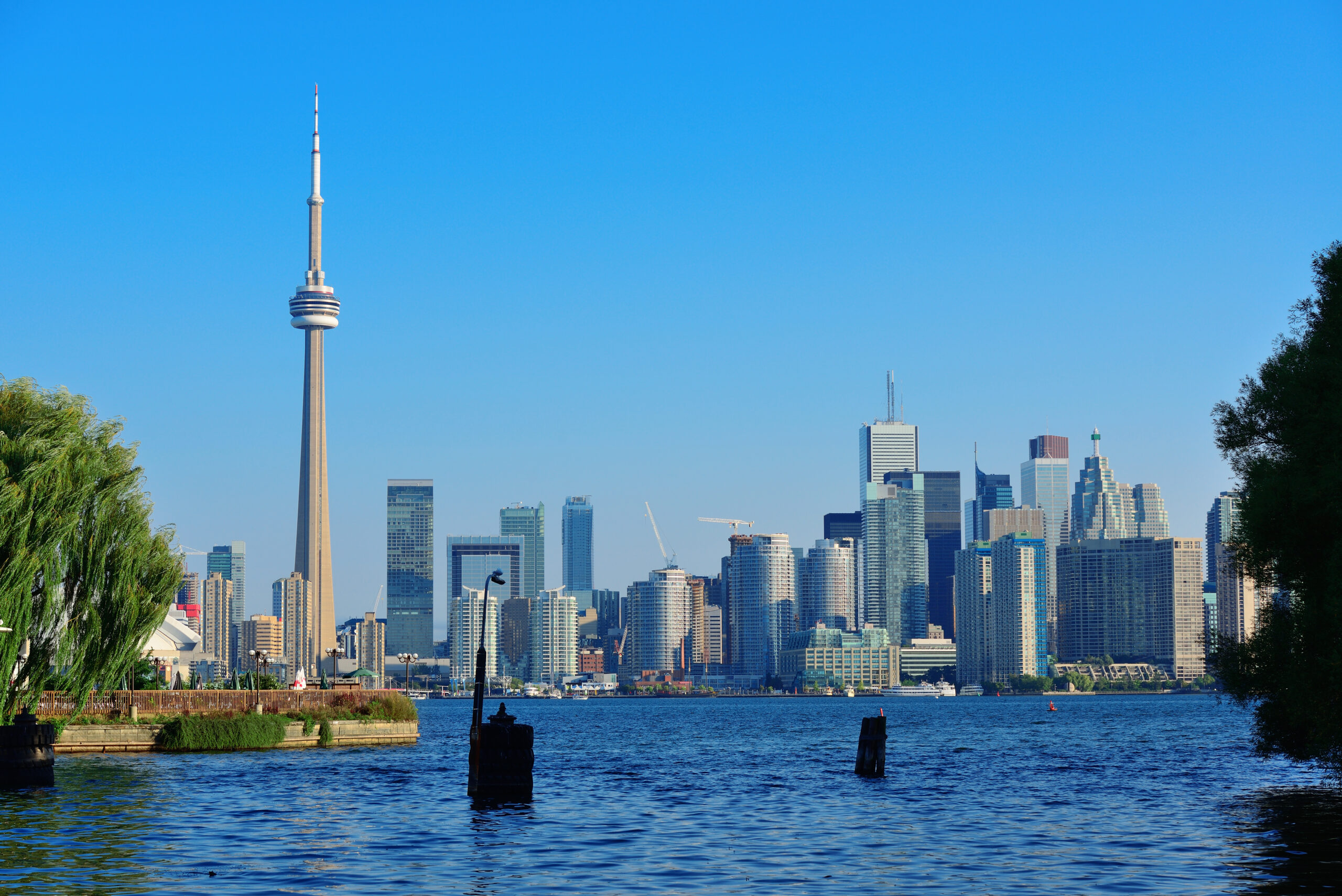 toronto skyline from park scaled